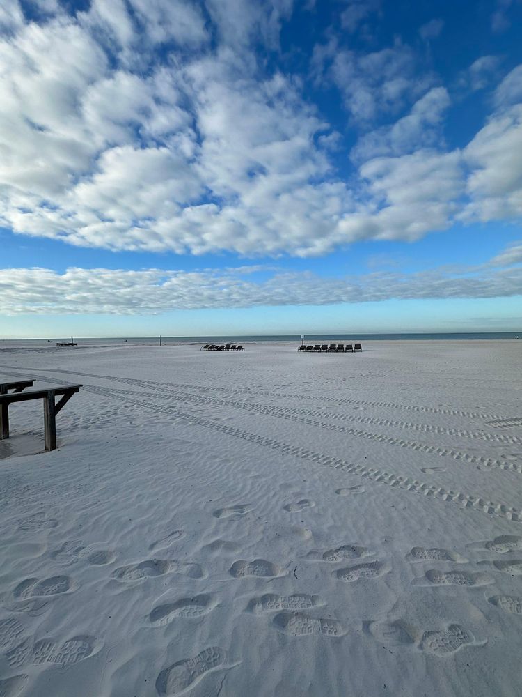 All Photos for Windspirit Land Services in Hillsborough County, FL