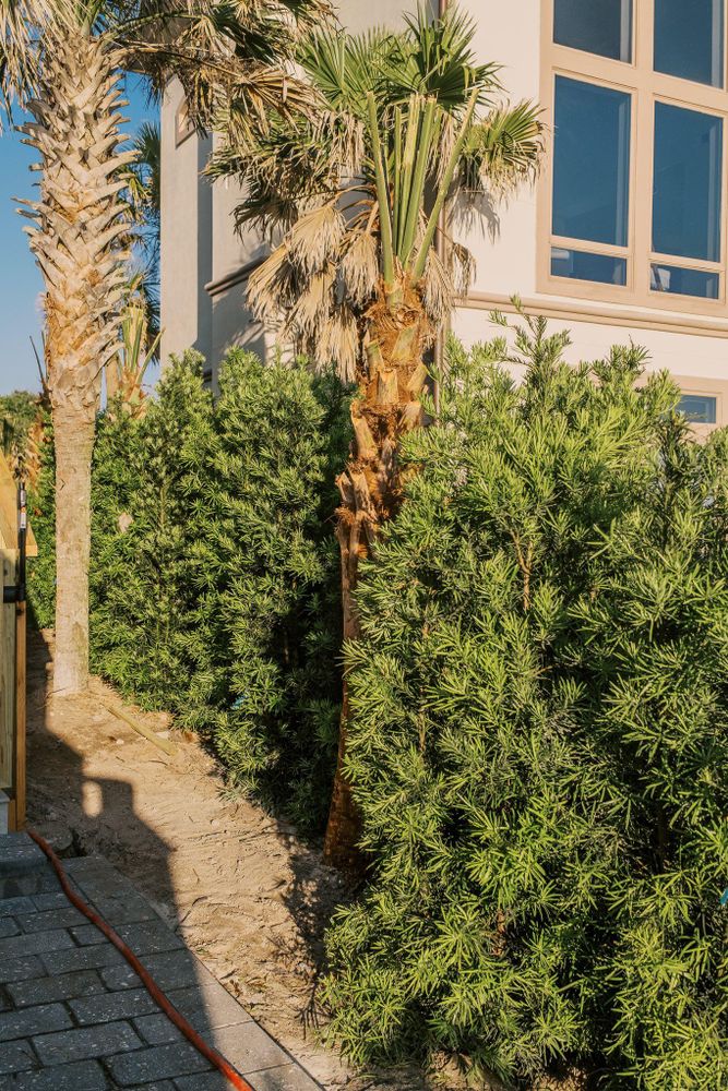 All Photos for Pro Designs Landscaping in Jacksonville, FL