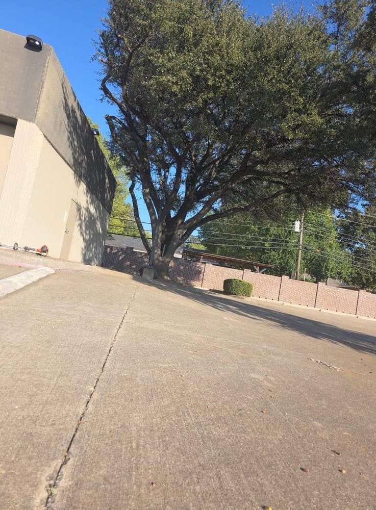 All Photos for Romero's Irrigation & Landscaping LLC in Fort Worth, TX