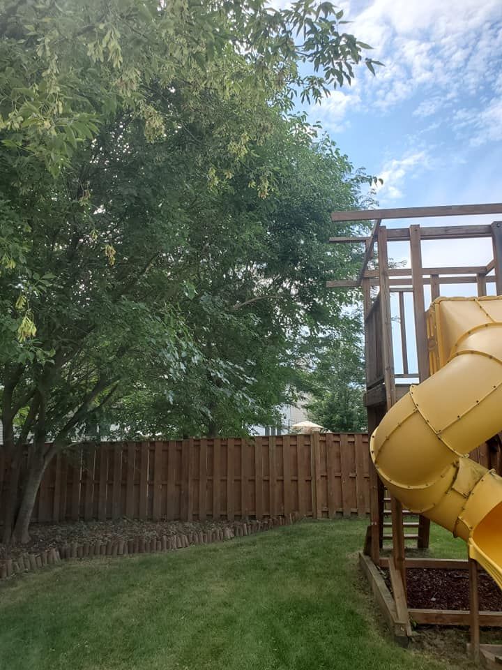 All Photos for Henry's Lawn Care in Rockford, IL
