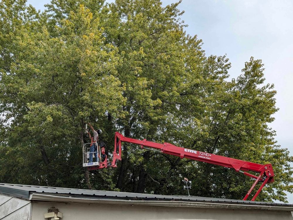 Tree Removal for Lawn Ranger Yard And Tree Service LLC in Ottumwa, IA