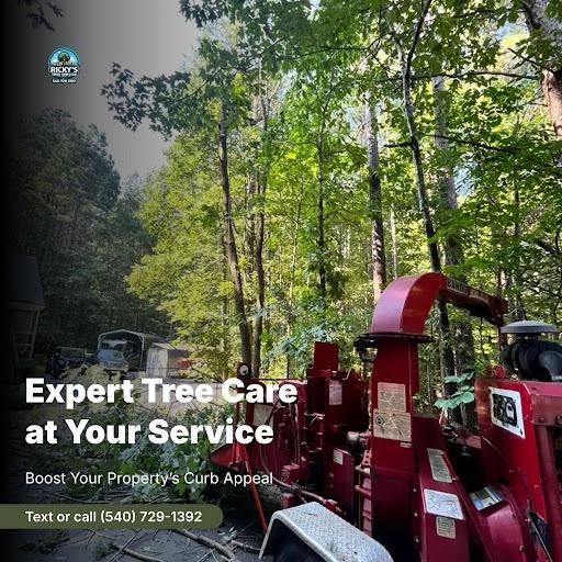 All Photos for Ricky's Tree Service & Property Care in Orange, VA