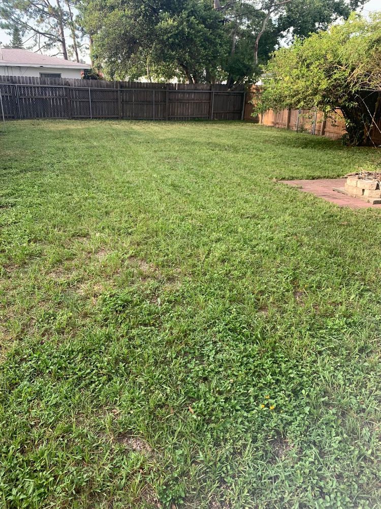 All Photos for Mitchell Lawn Service in Odessa, FL