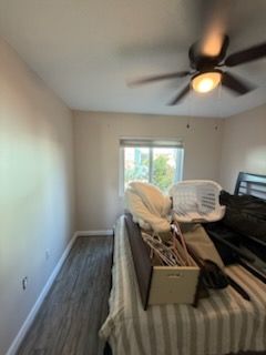 All Photos for Escorpio Painting in Tampa, FL