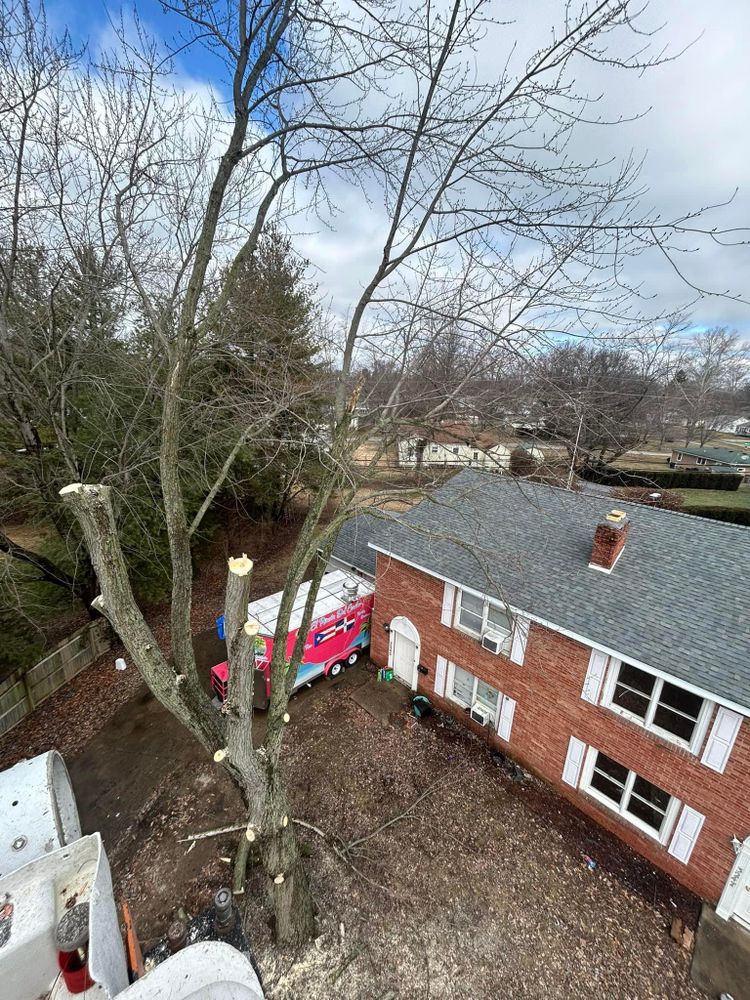 All Photos for SMITHs Tree Service in Columbus, IN