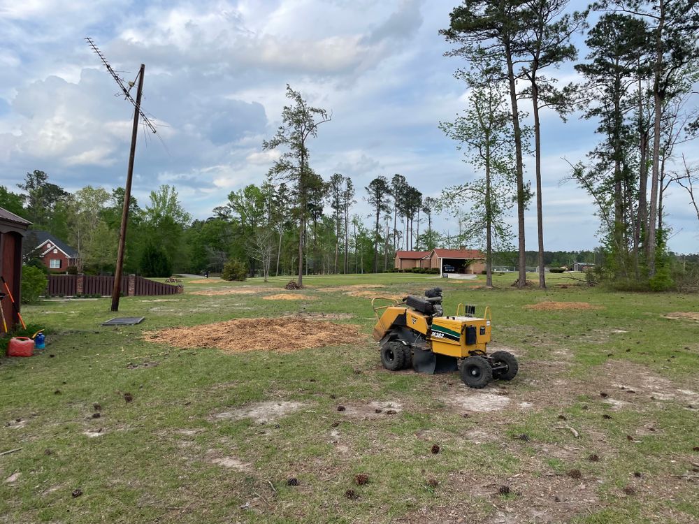 All Photos for MJB’s Stump Grinding LLC in Tennille, GA