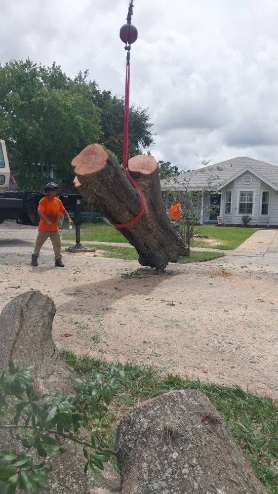 All Photos for Daniel Hickey’s Tree Service in DeLand, FL