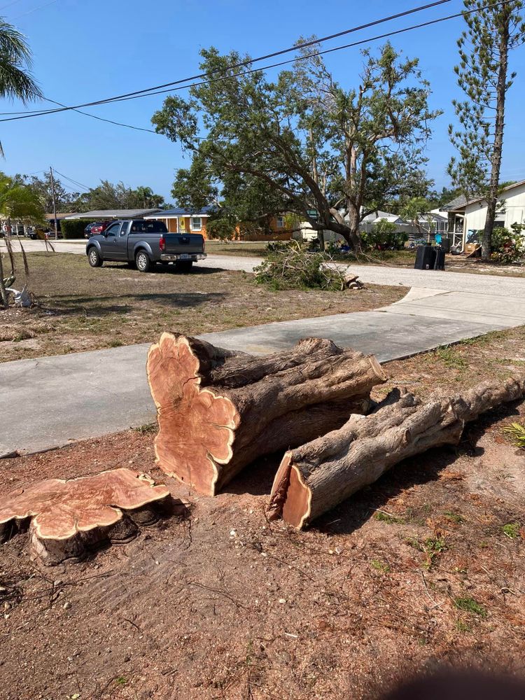 All Photos for Lemon Bay Tree Service  in Englewood, FL