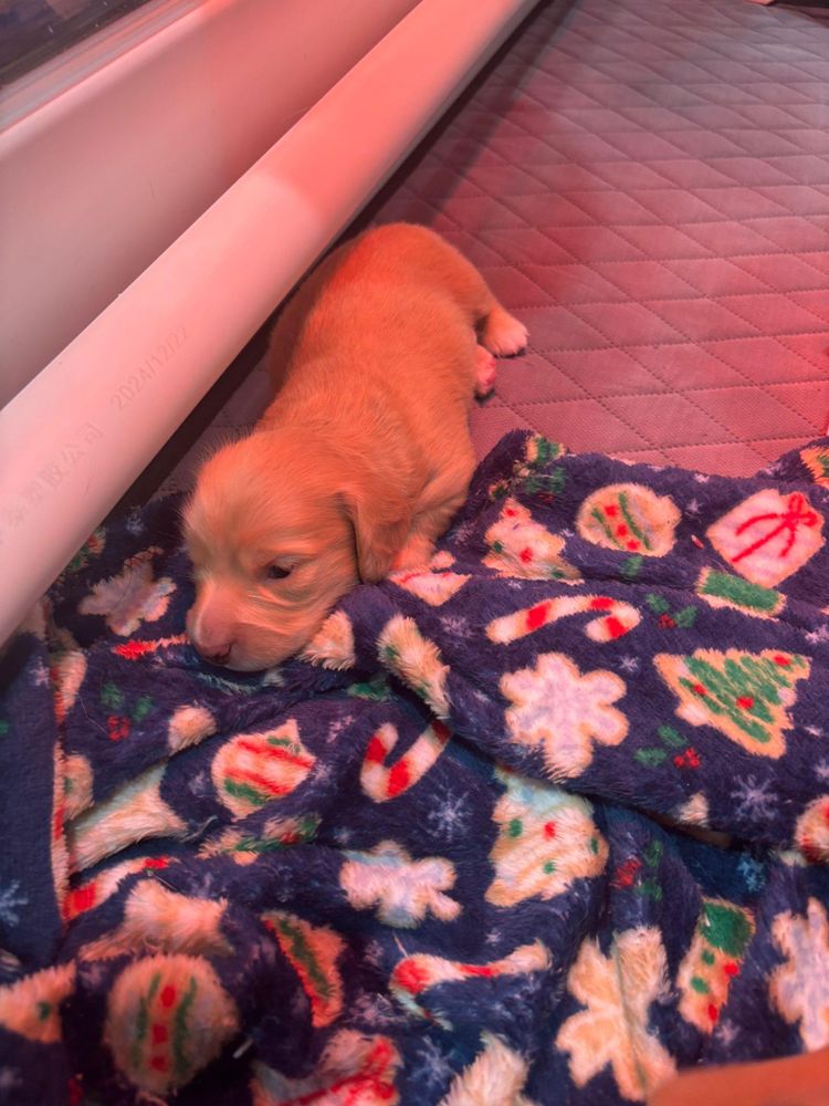 All Photos for Falls Property Services  in Idaho Falls, ID