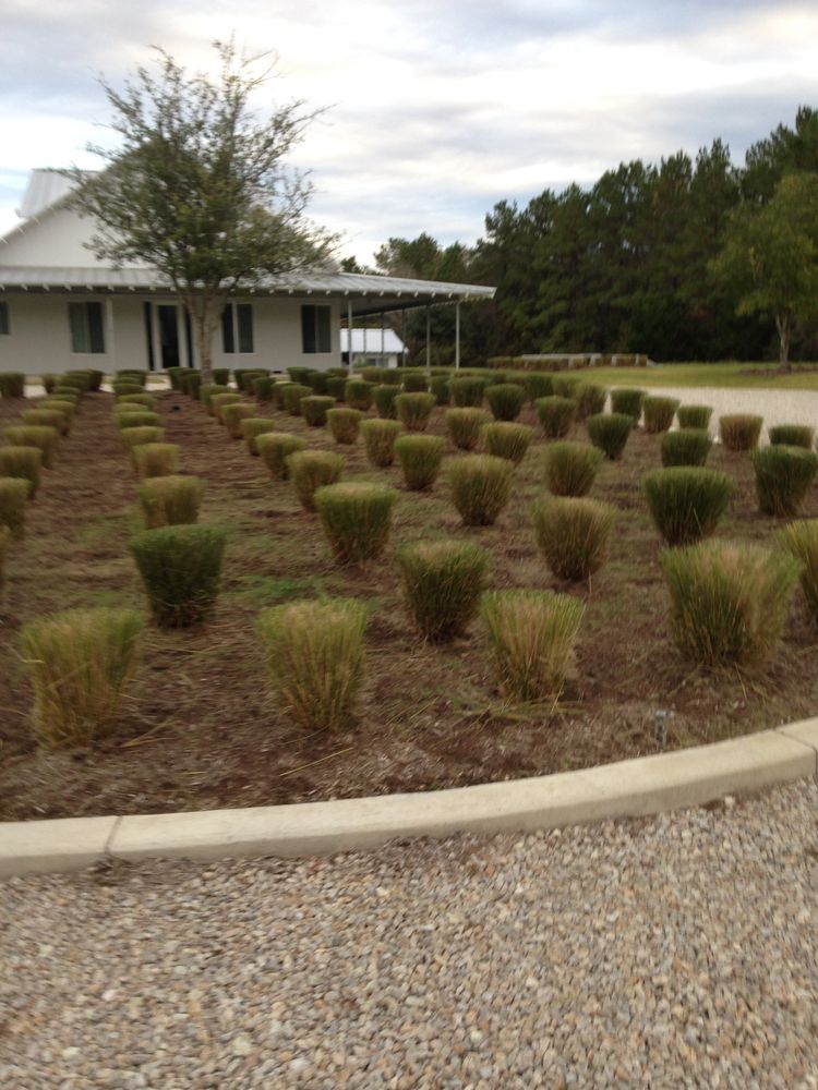 All Photos for Atlas Land Design in Creekside Park, TX