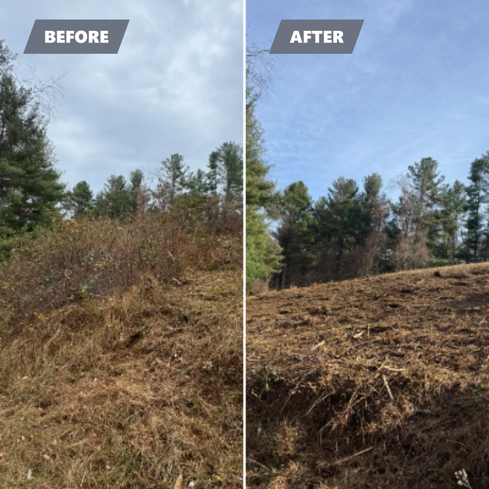 Our Reclaim Land service transforms neglected or unused areas into vibrant, functional spaces, enhancing your property's value and aesthetic appeal while promoting sustainable environmental practices for a healthier outdoor living environment. for Mountain Goat Land Management in Galax, VA