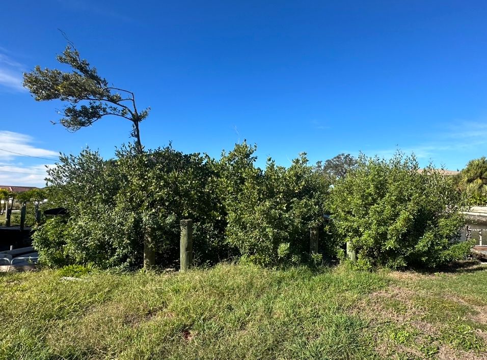 All Photos for MX Trees LLC in Englewood, FL
