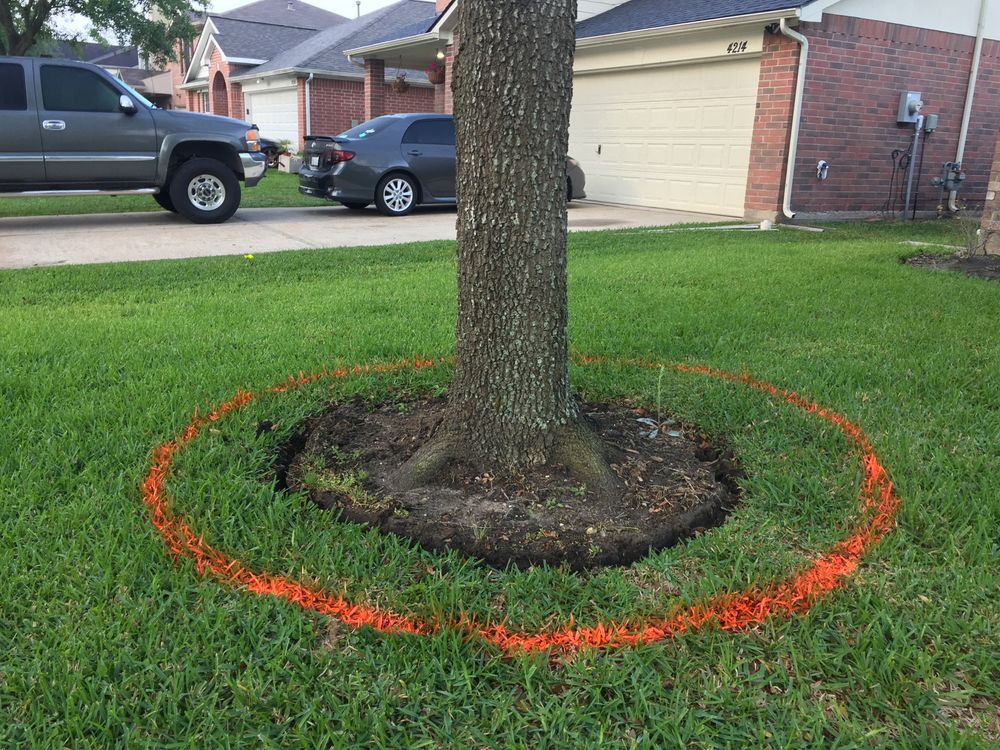 Before & Afters for Texas Curb N Borders in Houston, TX