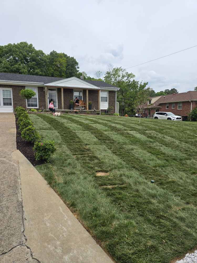 All Photos for Optimum Tree Service And Landscaping in Bowling Green, KY