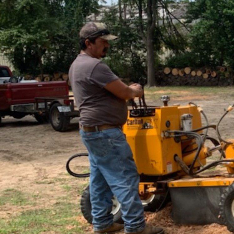 Tree Removal for Reymundo's Tree Service in Brownsboro, TX