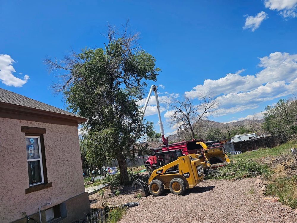 All Photos for Langston Tree & Landscape in Canon City, CO