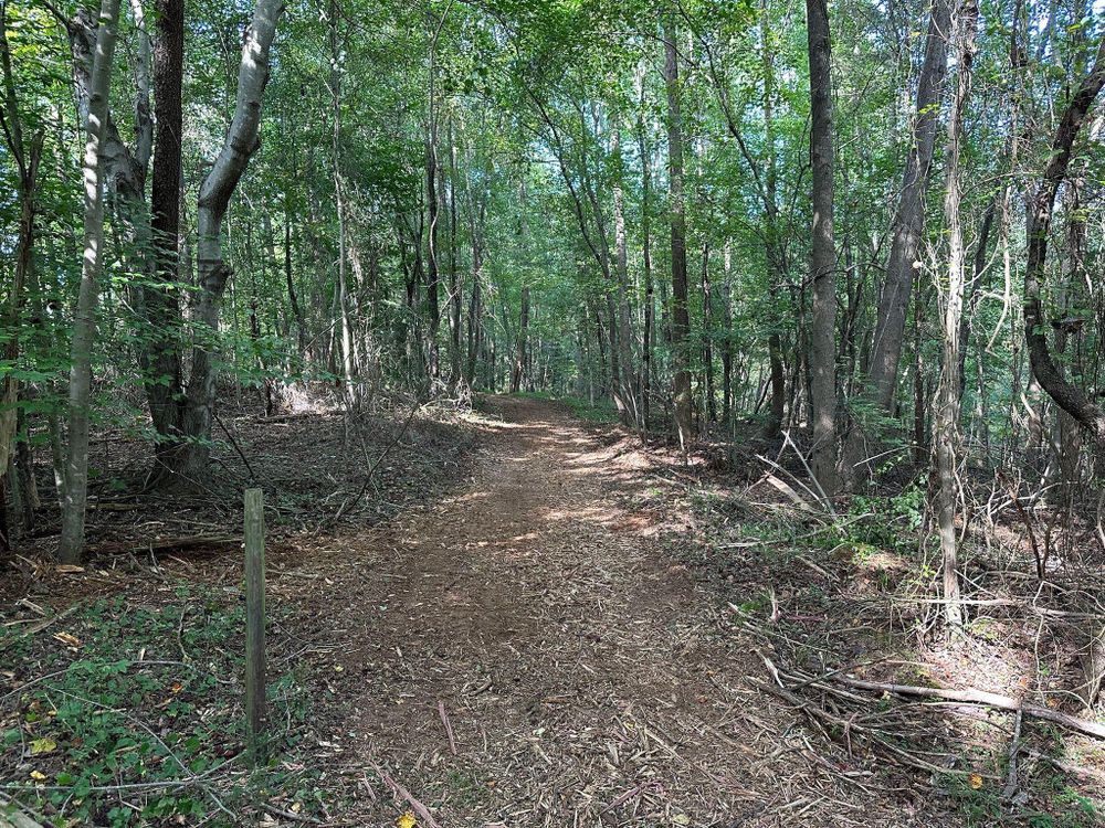 All Photos for Southern Land Solutions Forestry Mulching, LLC in Cleveland, NC