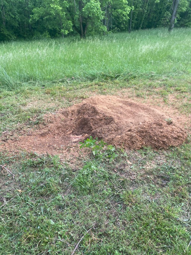 All Photos for Houtz Tree Service in Lexington, KY