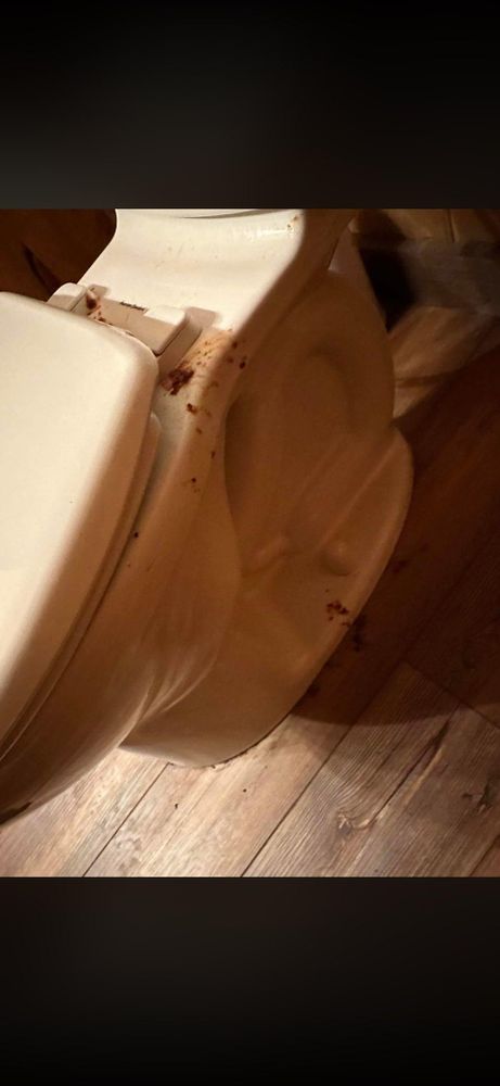 All Photos for A+ Cleaning and Services LLC in Deep Creek Lake, MD 