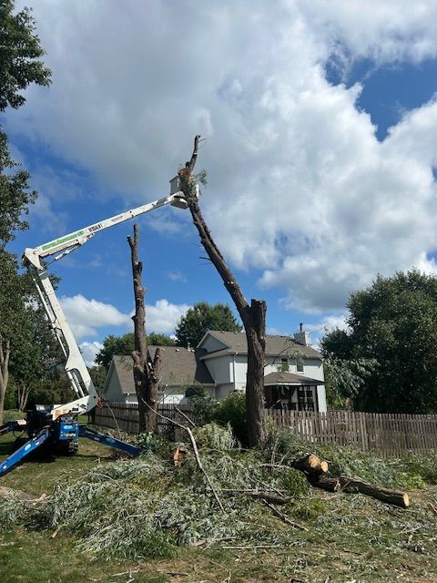 All Photos for Cross Family Tree Service in Kearney, MO