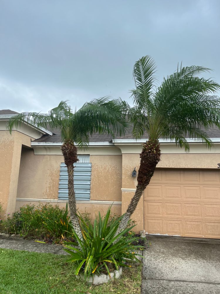 All Photos for Space Coast Property Maintenance and Management LLC in Melbourne, FL