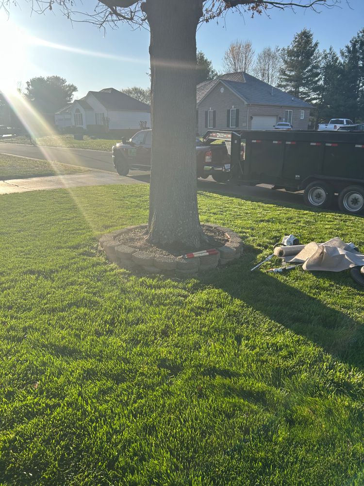 All Photos for Optimum Tree Service And Landscaping in Bowling Green, KY