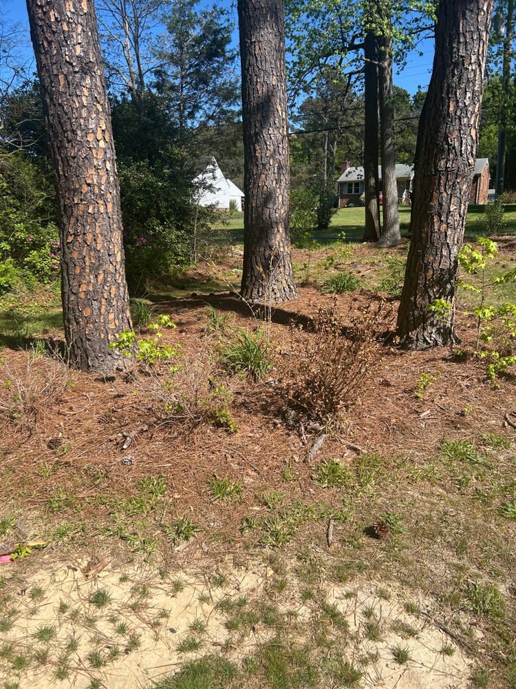 All Photos for Grass N Things LLC in Sandston, VA