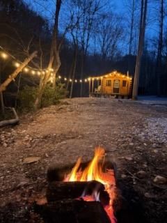 All Photos for Z's Land Management & Forestry Mulching in Smithville, TN