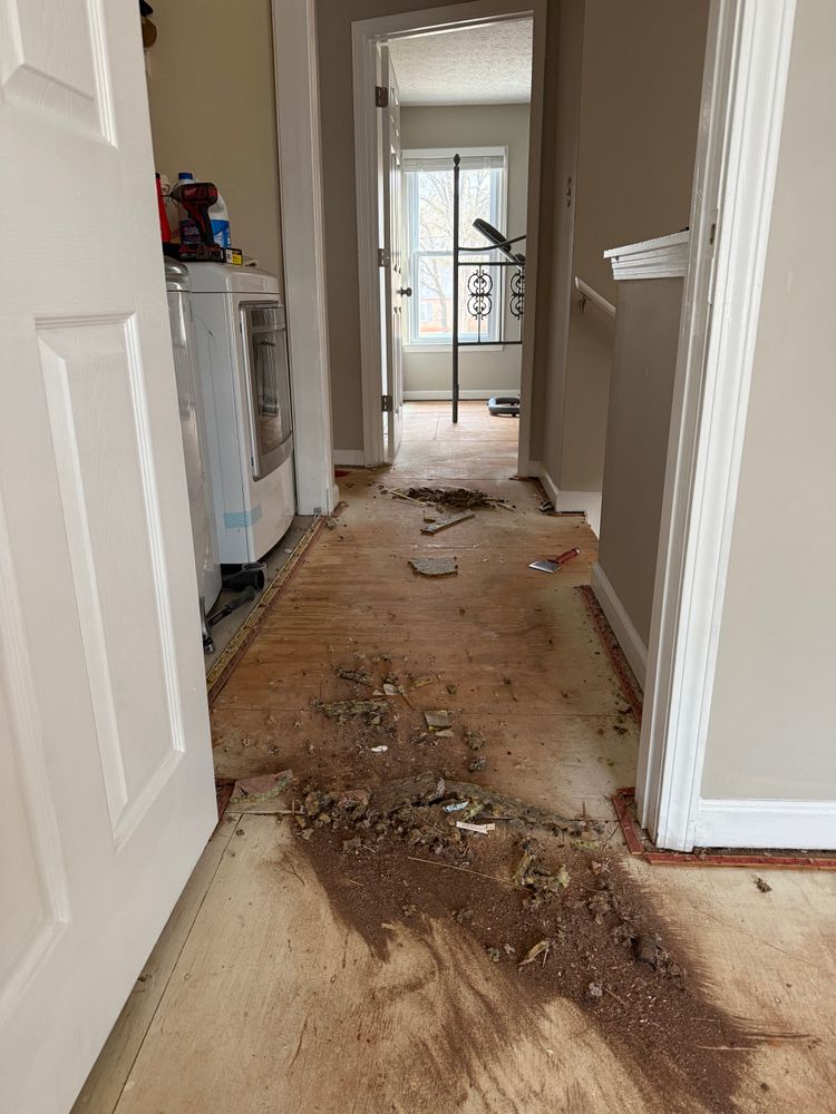 All Photos for Premium Floors & Paint LLC in Norcross, GA