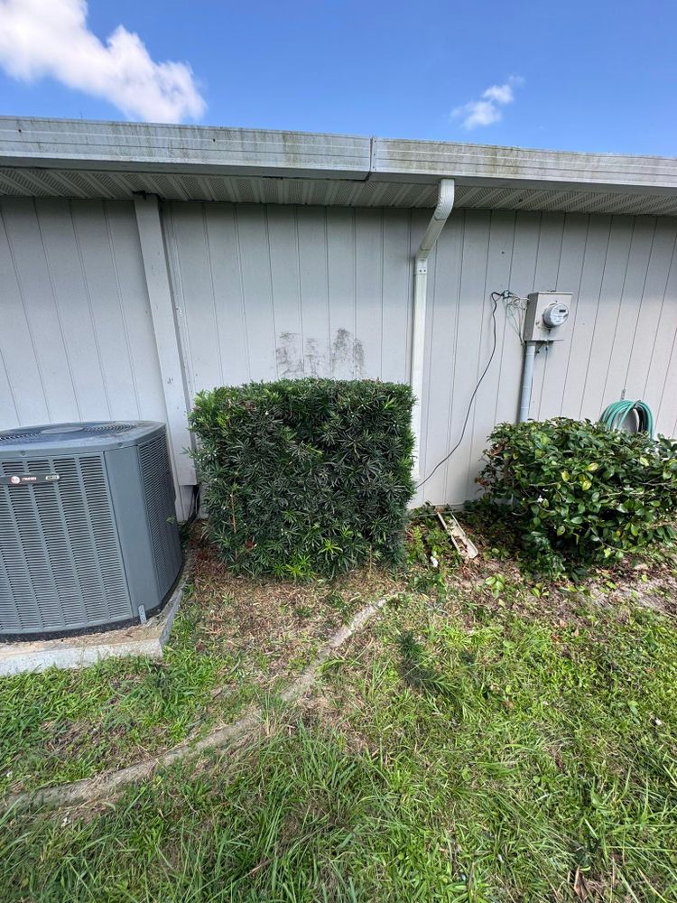 All Photos for Young's Lawn Services LLC in Ocala, FL