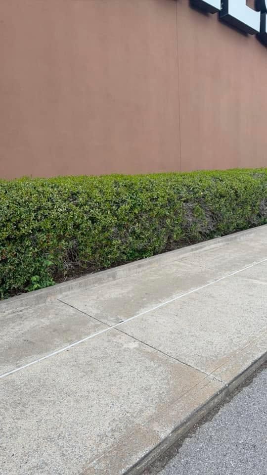 All Photos for The Right Price Right Choice Lawn Care Services in Murfreesboro, TN