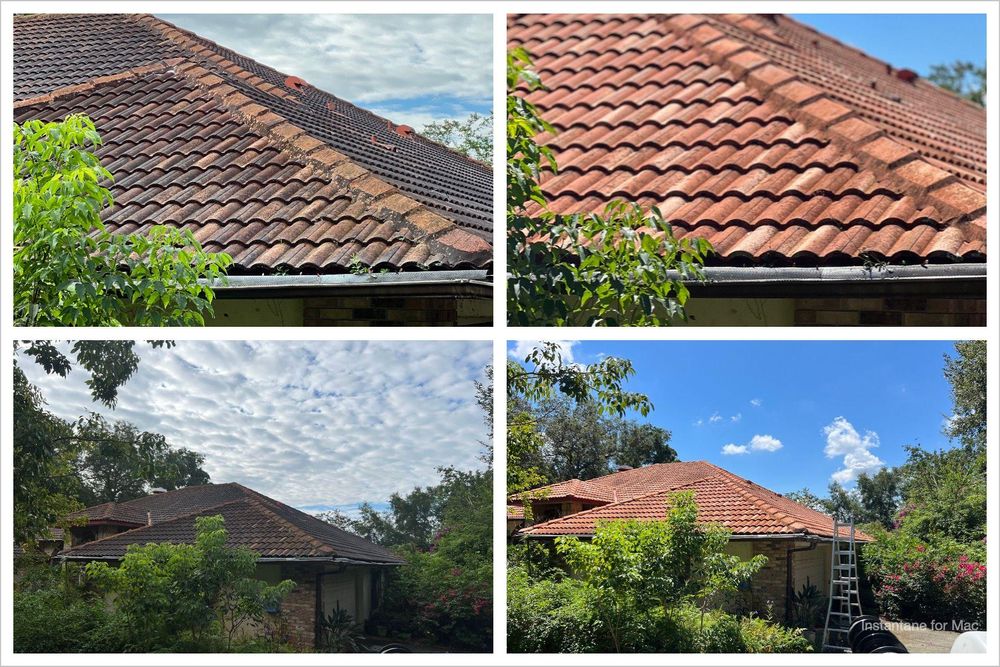 Roof Cleaning for Pressure Washing Warrior LLC in Ocoee, FL