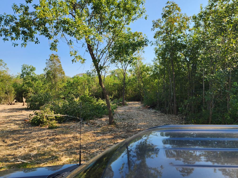 All Photos for CKD's Mulching Services in League City, TX
