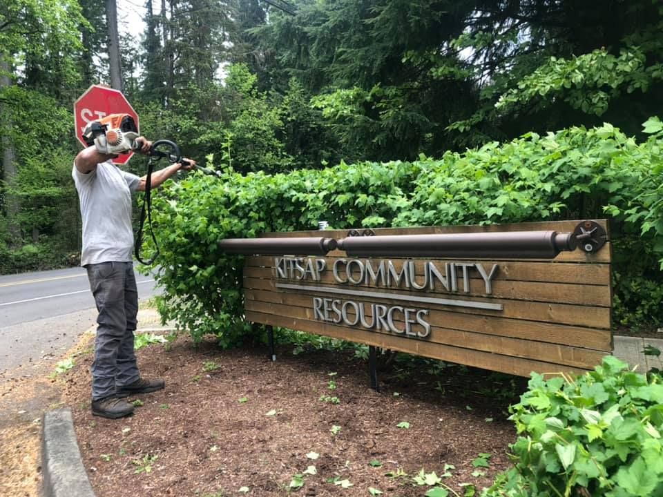 All Photos for Hall of Fame Landscaping in Bremerton, WA