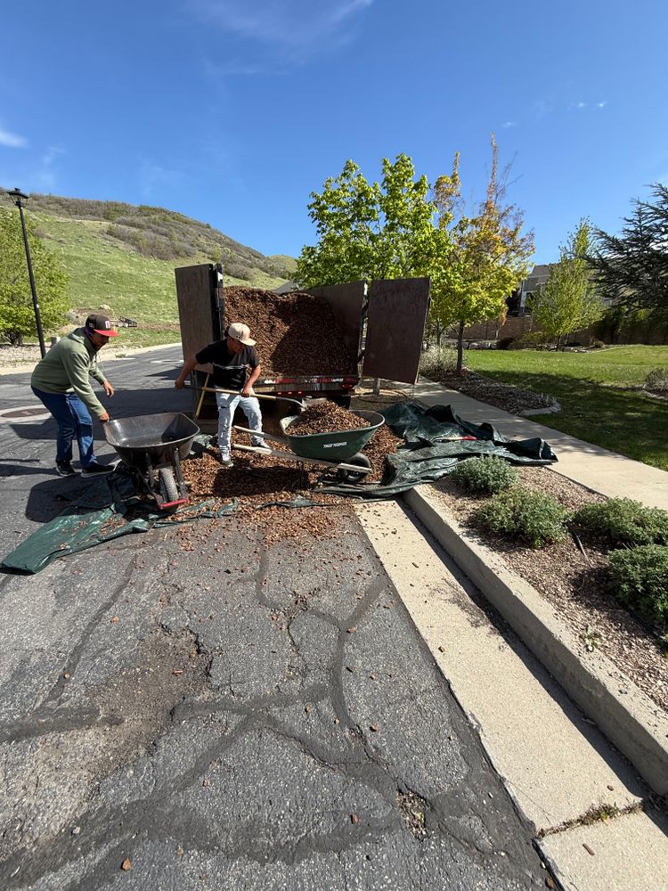 All Photos for Duncan Yard Services in Bountiful, UT