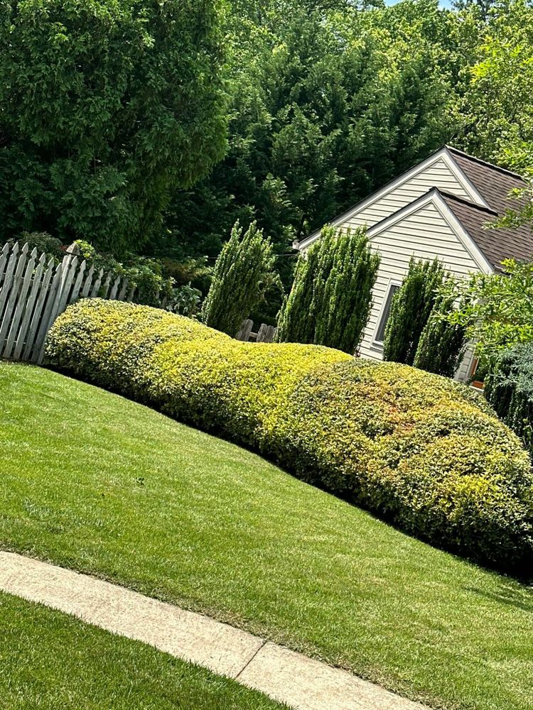 Luna Landscaping and Construction team in Parkville, MD - people or person
