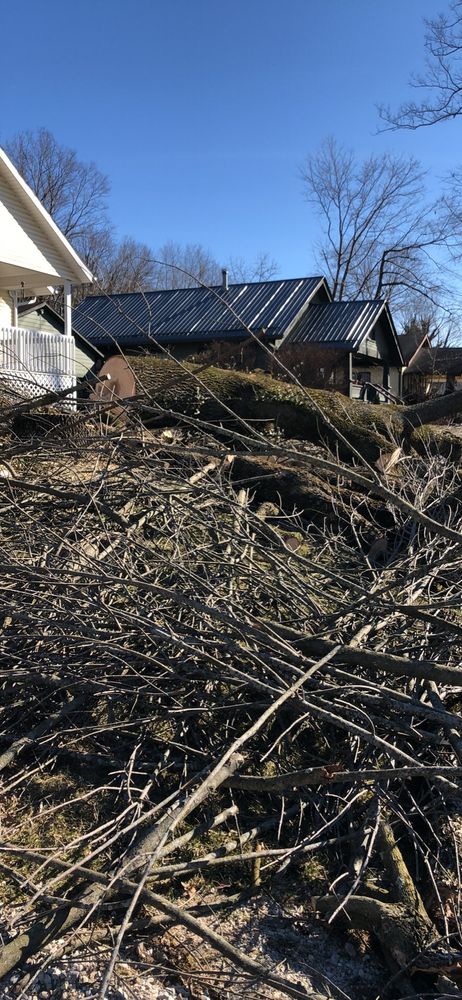 All Photos for Merriman's Tree Service in Nineveh,  IN