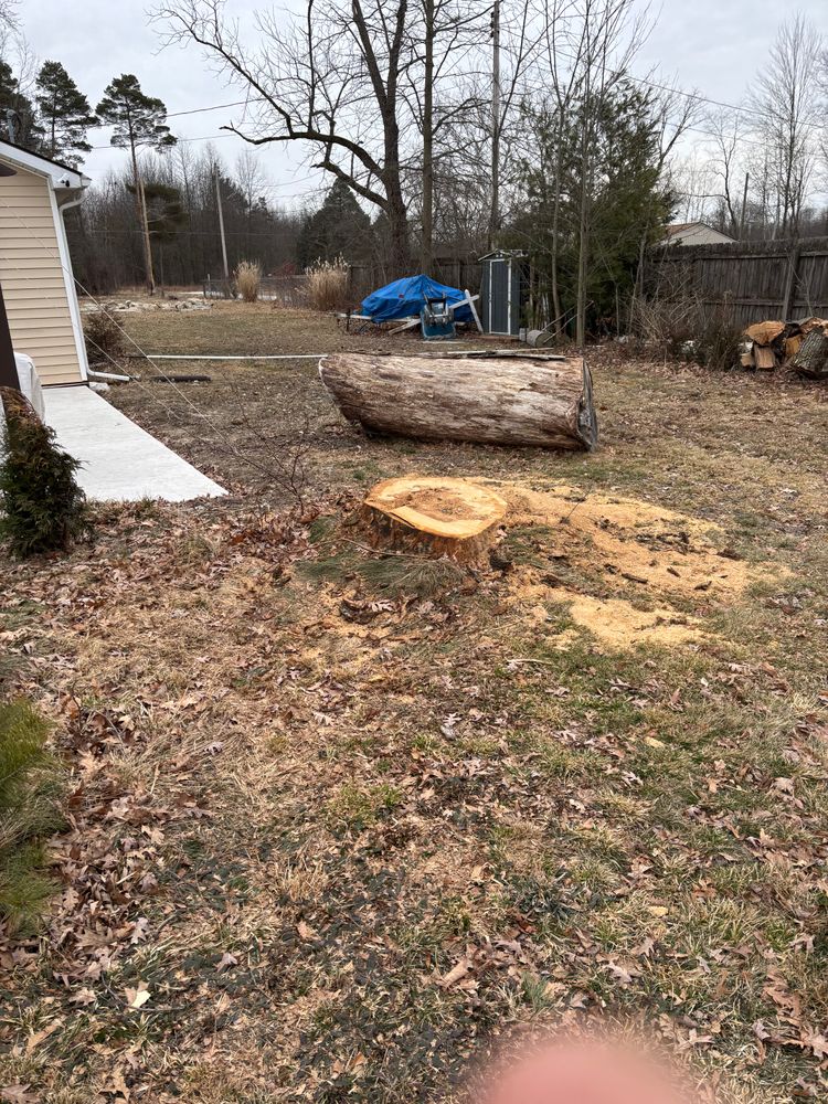 All Photos for Dean's Stump Removal in Youngstown, OH