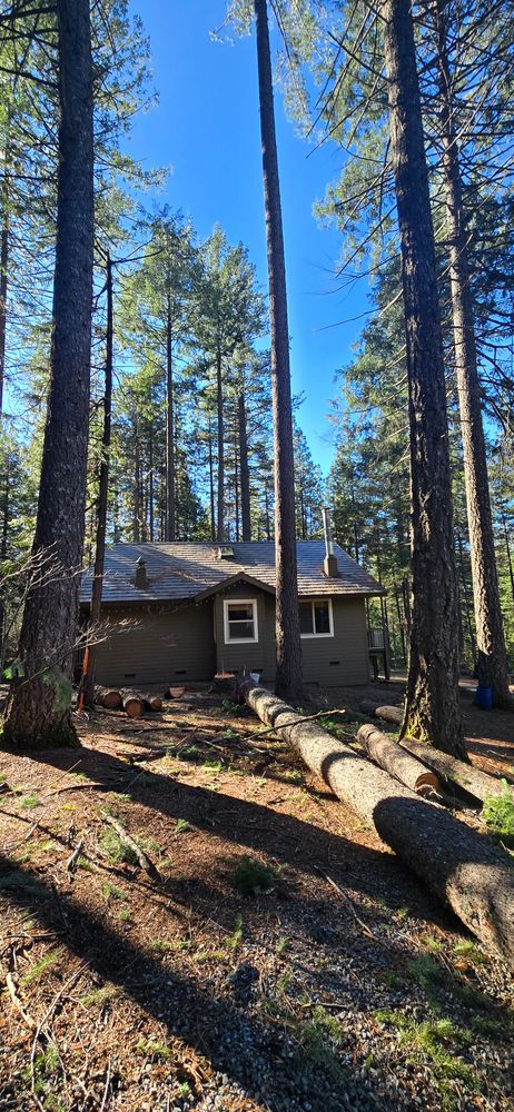 All Photos for George Staddan's Professional Tree Care in Placerville, CA