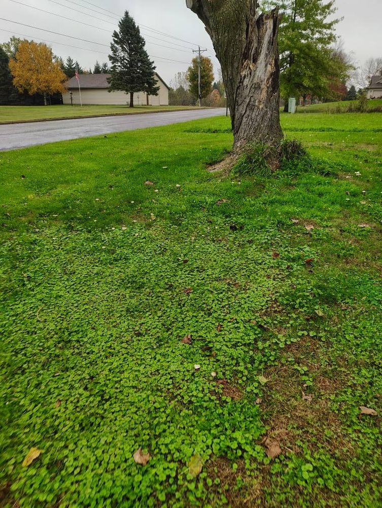 All Photos for Big River lawn Care services and snow LLC in Wausau, WI