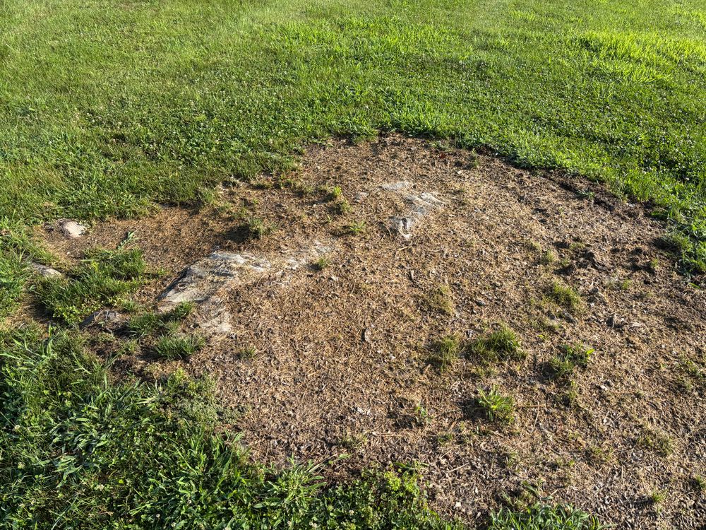 All Photos for Conrad's Stump Removal in Columbus, IN