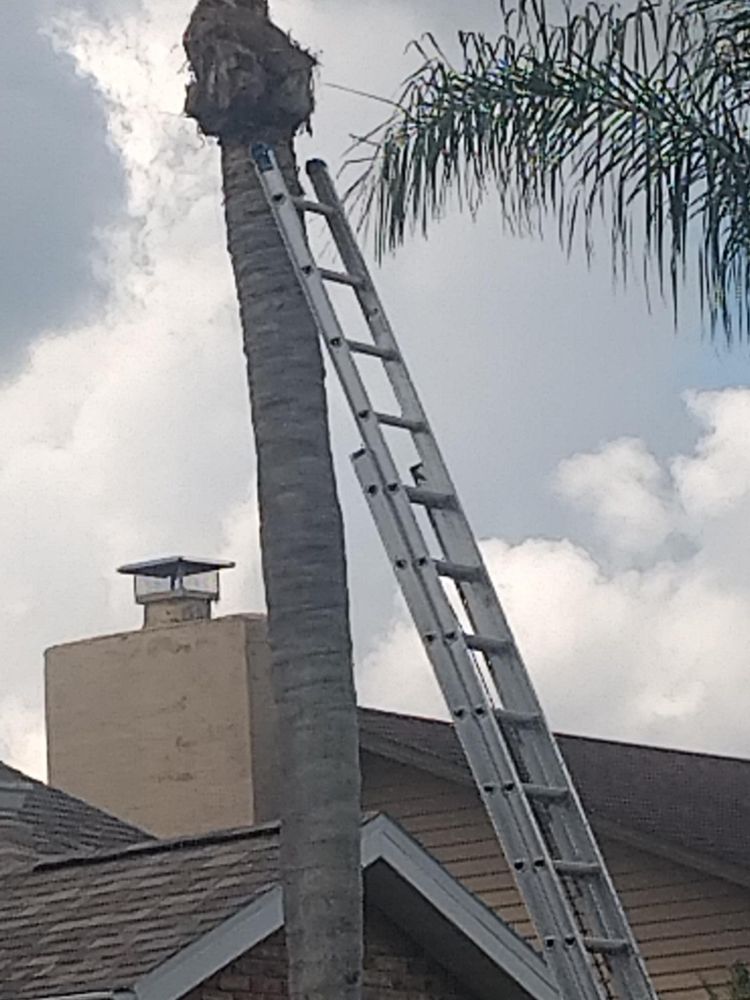 All Photos for Bills Tree Service in Valrico, FL