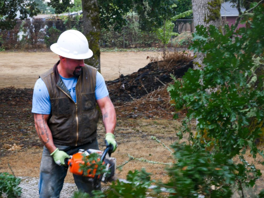 All Photos for Clippys Tree Pros in Stayton, OR