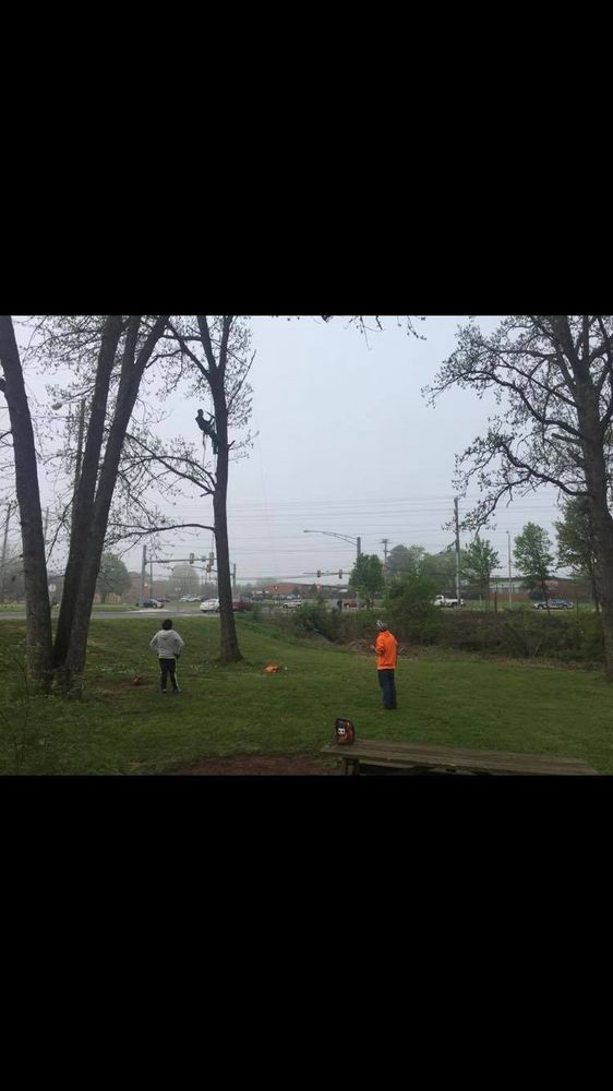 All Photos for Mountainside Property Services LLC in Warrenton, VA