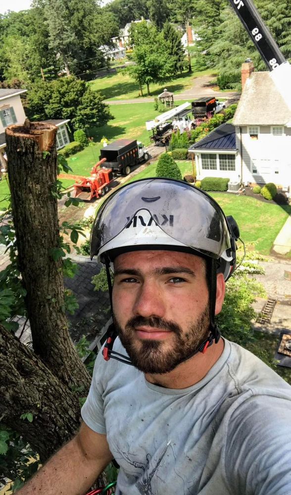 Other Services for Hingewood Tree Service in Salem, NJ