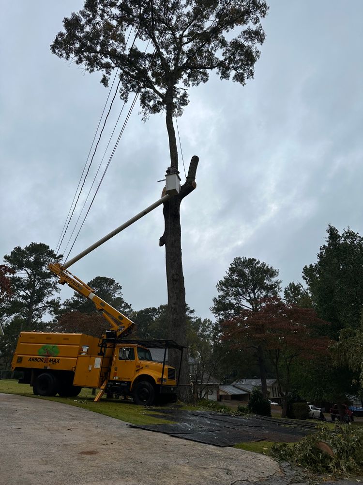 All Photos for ArborMax in Thomaston, GA