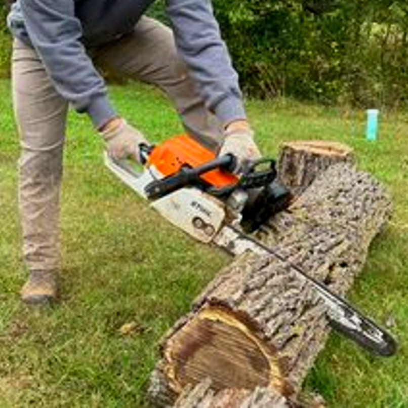 Enhance your landscape with our expert tree removal, trimming, and installation services. Complemented by our comprehensive hardscaping services, we ensure a safe and aesthetically pleasing outdoor environment for your home. for Pureleaf Lawncare LLC in Springdale, AR
