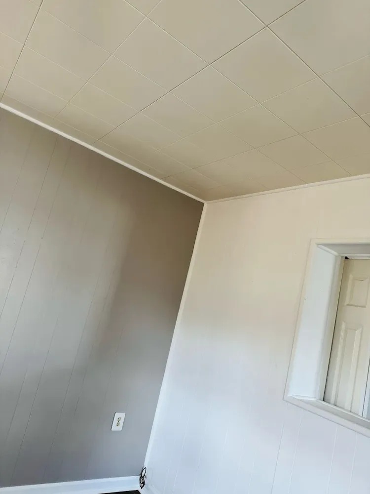 All Photos for P Martinez Painting in Salem, VA