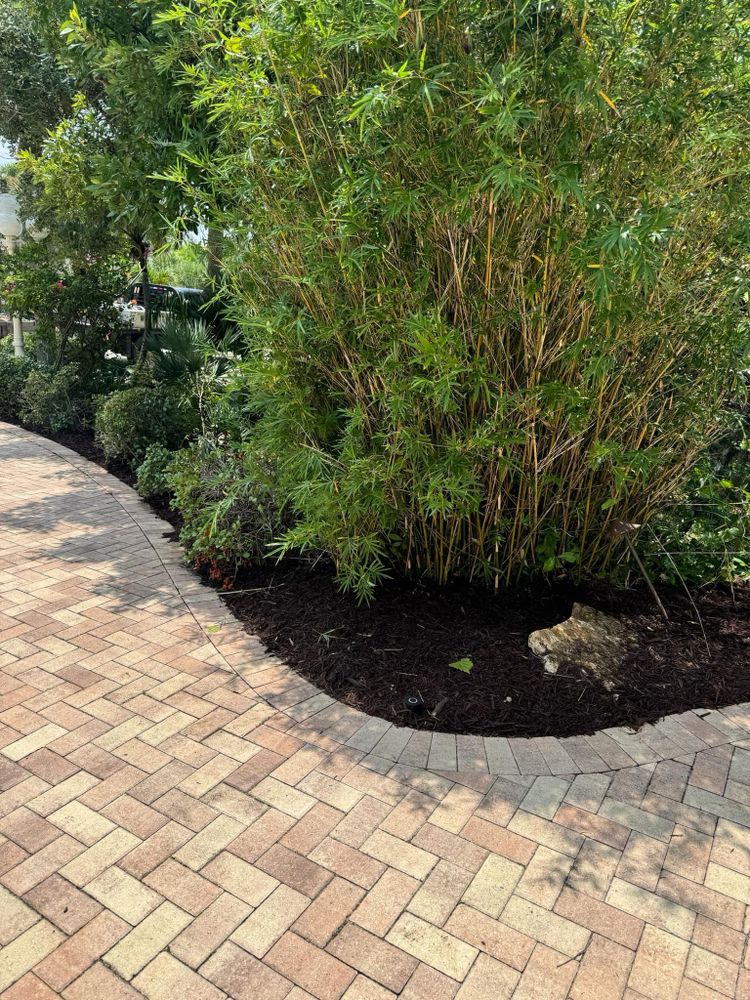 All Photos for Cunningham's Lawn & Landscaping LLC in Daytona Beach, Florida