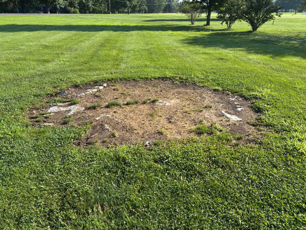All Photos for Conrad's Stump Removal in Columbus, IN